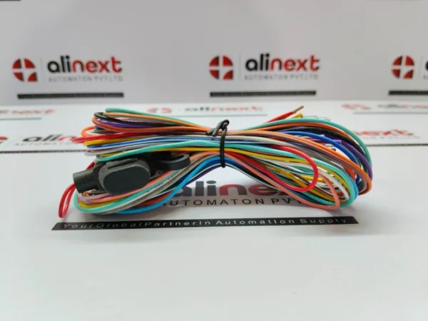 CAN2H Multi-Conductor Wiring Harness/Cable Bundle