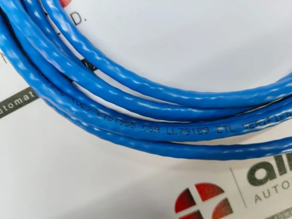 RJ 45 CAT 6 Blue Molded Cable 10 ft E151955