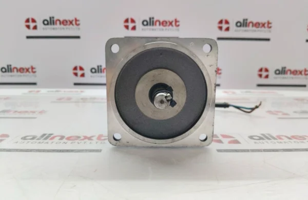 Tianli Motor DM 12 DC Motor 11.8A